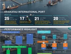 Krakatau International Port & Perannya Sebagai Hub Port General Cargo