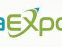 Kemendag Populerkan Platform Inaexport