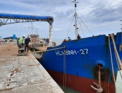 Kijing perlu Dukungan, Dwikora butuh Sentuhan