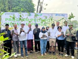 Sambut Dua Tahun Merger, Pelindo Regional 3 dukung Penghijauan Lingkungan di 4 kota