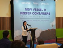 TTL Layani 220 Box Reefer Kontainer Meratus