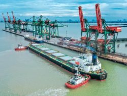 Terminal Teluk Lamong, Layani Kapal Curah Jumbo