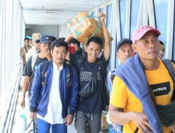 Melongok Kesibukan Pelabuhan Priok & Perak Hadapi Angkutan Lebaran