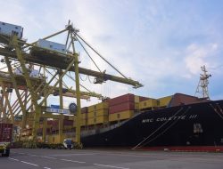 Februari 2025, Arus Petikemas TPS Naik 3,8%