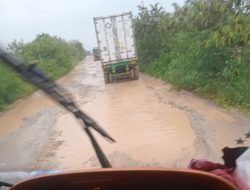 Akses Pelabuhan Kendari Mirip Kubangan & Hambat Logistik, ALFI Desak Ada Solusi