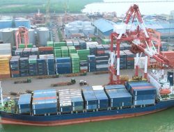 Arus Petikemas TPK Nilam Naik 13%