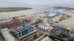 Transformasi Berkelanjutan, Pelindo Multi Terminal Ajak Pengguna Jasa Tumbuh Bersama