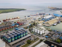 Transformasi Berkelanjutan, Pelindo Multi Terminal Ajak Pengguna Jasa Tumbuh Bersama