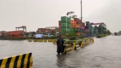 Bongkar Muat Normal Meski Priok Dikepung Banjir, ALFI Usulkan Ini