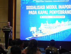 Layanan Kapal Penyeberangan, Masuk Inaportnet