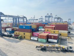 Pelindo Wacanakan Penyesuaian Tarif, Ini Respon GINSI dan GPEI