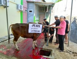 Yayasan Annas Salurkan Daging Kurban Untuk Ratusan Eks TKBM Priok