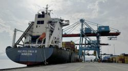 Topang Ekspor via Sumatera, TPK Panjang Tampung Ribuan Kontainer Empty