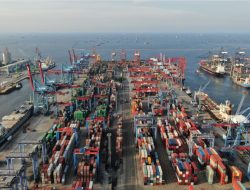 Priok ‘Rekor’ Kontainer Longstay, Kini Tembus 21.793 bok