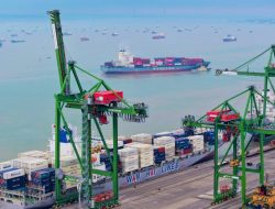 Terminal Teluk Lamong Handle 1,2 Juta TEUs, Tumbuh 13%