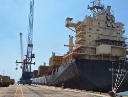 Patimban Mulai Handle Kapal Kontainer MSC Aria III, Siapa Menyusul ? 