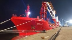 Terminal Kijing, Datangkan 2 RTG Merk Sany