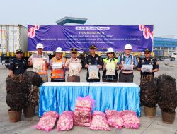 JICT Dukung Percepatan Penyelesaian Kontainer Longstay