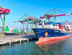 Semester I/2026, Produktivitas Terminal Teluk Lamong Group Tumbuh 13,3%