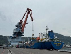 Potret TPK Teluk Bayur & Geliat Kontainer yang Tak Pernah Luntur