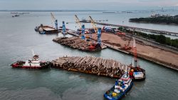 Kinerja Pelindo Multi Terminal Semester I/2026, Moncer