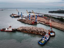 Kinerja Pelindo Multi Terminal Semester I/2026, Moncer